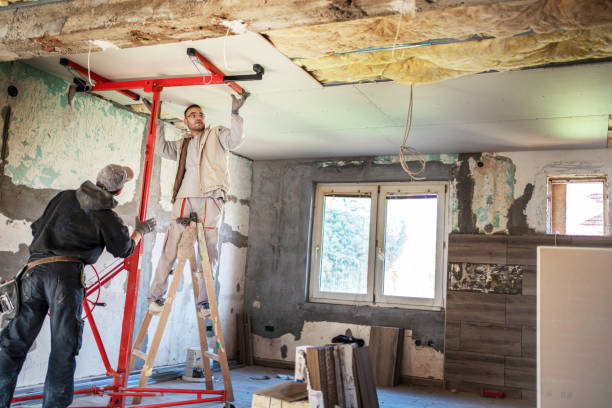 Best Cellulose Insulation in Tiburon, CA